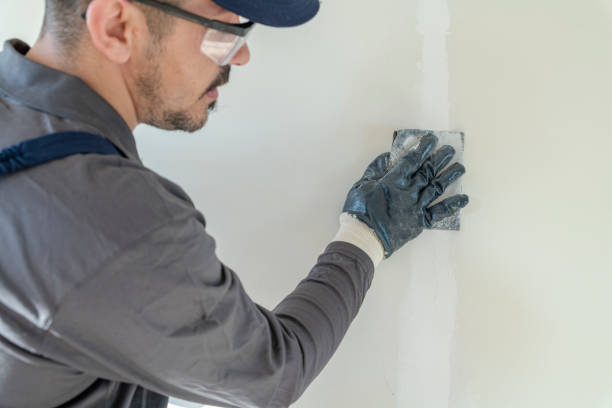 Best Water-Damaged Drywall Repair  in Westview, FL