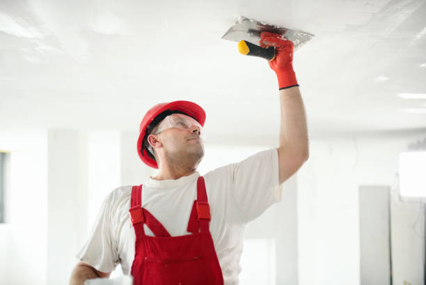 Wallpaper Removal and Painting in Westview, FL